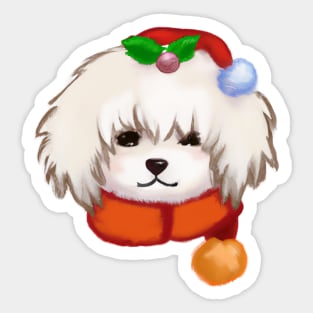 Cute Havanese Drawing Sticker